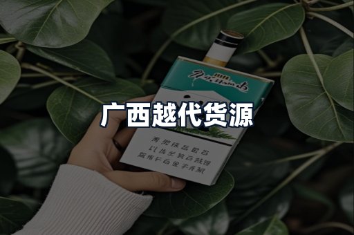 广西越代货源